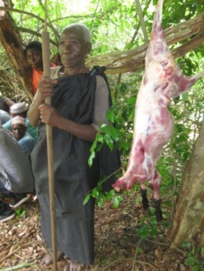 the lead elder and the black sheep used in the ceremony