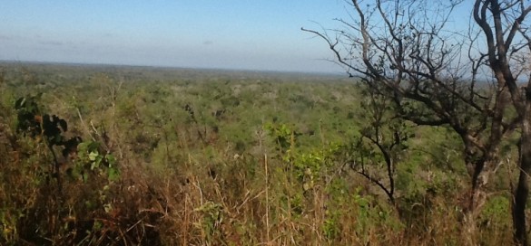 Kihembe cropped