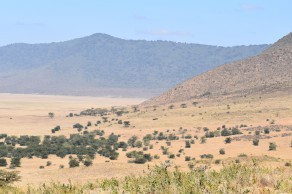 NG DSC_0045