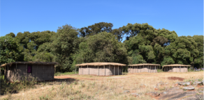 camp